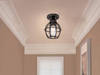 GRUENLICH Flush Mount Ceiling Light Fixture, One E26 Medium Base 100W Max, Metal Housing and Metal Cage, Bulb not Included, 2-Pack